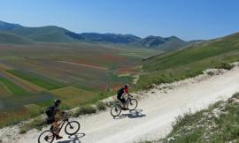 Fioritura di Castelluccio 2023, il percorso per chi arriva dalla provincia di Macerata: navette e parcheggi