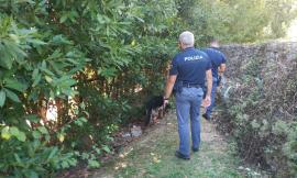 Controlli al parco di Fontescodella, denunciato un 19enne trovato con la droga