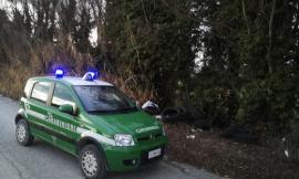 Orrore a Scossicci: cani trucidati e decapitati abbandonati in una scarpata