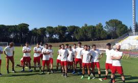 Niente Eccellenza per la Maceratese: la Figc ripesca l'Atletico Azzurra Colli