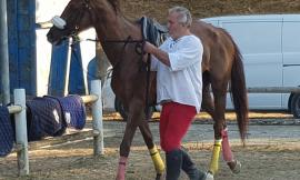 Servigliano, Santo Spirito si aggiudica la Giostra dell'Anello con il cavallo della Scuderia Orazi di Castelraimondo (FOTO)