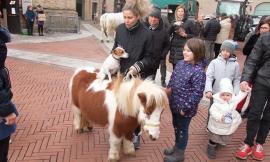 Recanati, la Festa di Sant'Antonio Abate affolla piazza Leopardi (FOTOGALLERY)