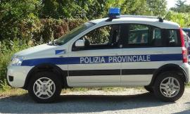 Macerata, su 750 controlli registrate solo 3 violazioni: la Polizia Provinciale continua a presidiare le strade