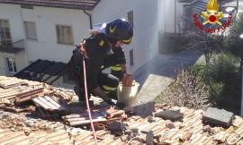 Marche, danni causati dal forte vento:  oltre 100 interventi dei Vigili del Fuoco (FOTO)