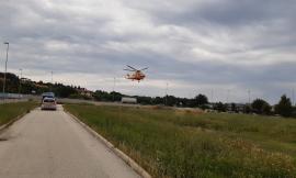 Civitanova, perde il controllo dell'auto in curva e si schianta contro una pianta: 52enne trasportato a Torrette (FOTO)