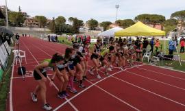 Atletica, Tolentino va di corsa e rivede il salto alto: weekend da 8 ore di gare al 'Della Vittoria'