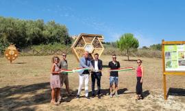 Civitanova, un hotel per le api per sostenere la biodiversità: l'iniziativa a cura del gruppo ICA