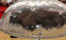 Muccia, tra passeggiate e degustazioni: l'estate ha come protagonista il tartufo