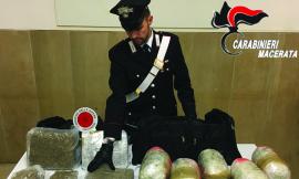 Trodica, trovati 10 chili di marijuana lungo il torrente
