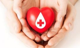 Appello dell'Avis Treia: "C'è bisogno di sangue"