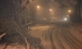 A Treia rami caduti per la neve creano pericolo per l'incolumità dei passanti - FOTO