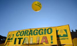 Durissima replica di Coldiretti Marche all'assessore regionale Casini: ridicolo scaricabarile