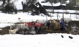 Viaggio nella neve e nel fango tra gli allevatori di Visso - FOTO e VIDEO -