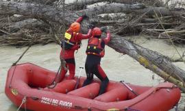 Recanati, cade albero nel fiume Potenza: intervento vvf