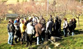Macerata: corso pomeridiano di potatura all’Istituto Agrario