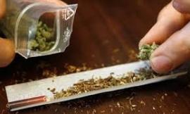 Matelica, blitz nell’appartamento dove si fuma marijuana: denunciati 4 minorenni