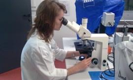 Unicam, successo per lo spin off Synbiotec