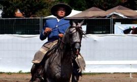 Cavallo maceratese campione italiano di Doma Vaquera