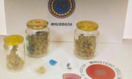 Macerata: Gli agenti della "Volante" sequestrano un etto di Marijuana in via Manzoni
