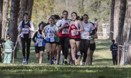 I ragazzi dell'AVIS Macerata si fanno onore al 22°Cross Helvia Recina