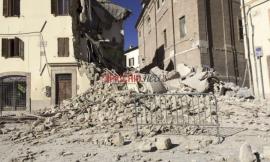 "O Marchigiani Karma", la hit del web finisce anche su Studio Aperto