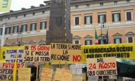 Allevatori e pecore in piazza a Montecitorio: "Meno chiacchiere più stalle"