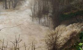 San Severino: operai al lavoro per rimuovere tronchi nelle frazioni di Aliforni, Stigliano e Ponte Sant'Antonio