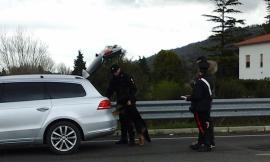 Macerata,  attività anti-droga: controlli su 200 persone e 50 mezzi