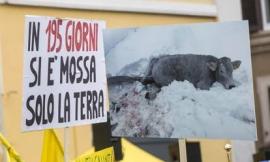 Coldiretti: "Il sisma ha tolto lavoro a 3200 persone"