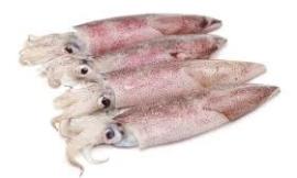 Calamari al cadmio, scatta il ritiro