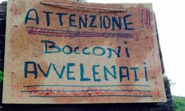 Allarme bocconi avvelenati a Sforzacosta: ancora un atto di inciviltà