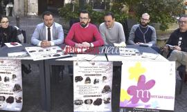 Monte San Giusto, appuntamento con "Primavera non bussa": rassegna della canzone d'autore