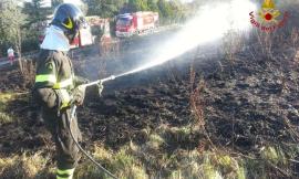 Incendio di sterpaglie a Fontescodella: in fiamme un ettaro di terreno