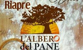 Riapre L'albero del Pane: piccoli segnali di ripresa da Visso