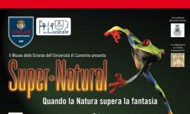 "Super Natural, quando la realtà supera la fantasia": il sistema museale Unicam propone una mostra itinerante