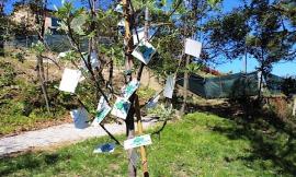 Montelupone, al Giardino delle Api successo per festa dell'albero