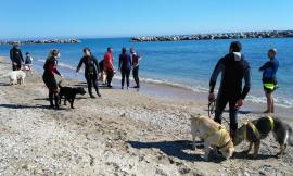 A Potenza Picena il primo corso di addestramento canile per il salvataggio in acqua
