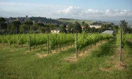 Aperte all’Agraria le iscrizioni per i corsi serali