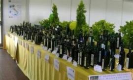 Week end 1 maggio: San Severino vicino ai terremotati con "L'oro verde"