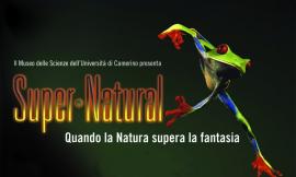 Seconda tappa della mostra itinerante "Super Natural”: dal 12 maggio è ospitata a recanati