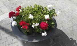 “Prendi a cuore una fioriera”: al via progetto adozione del decoro urbano a San Severino
