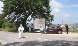 Veterinario ucciso a coltellate, il legale di Andreucci: "È in stato confusionale"