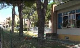 Comitato Salviamo il Green, Seghetti: "Incomprensibile pensare ancora di abbattere l'asilo"