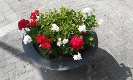 San Severino: al via la riqualificazione con il progetto "Prendi a cuore una fioriera"