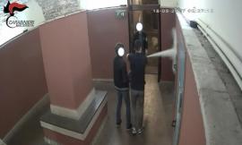 Parlano i 4 ragazzi francesi: "Siamo pentiti e chiediamo scusa a tutti"