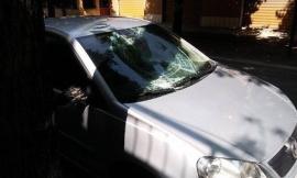 Tolentino, raid notturno in viale Vittorio Veneto: le telecamere inchiodano i responsabili