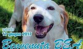 Benvenuta Bea: al Santo Stefano di Montecosaro un nuovo arrivo per la Pet Therapy