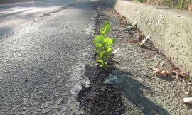 Civitanova, pista ciclabile a corto di manutenzione