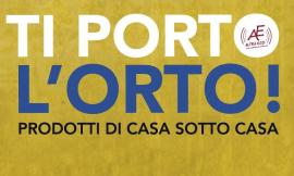 L'estate di "Ti porto l'orto" da luglio e per tutto agosto al chiostro Sant'Agostino a Recanati