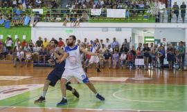 Rossella Virtus Civitanova: confermato Francesco Amoroso